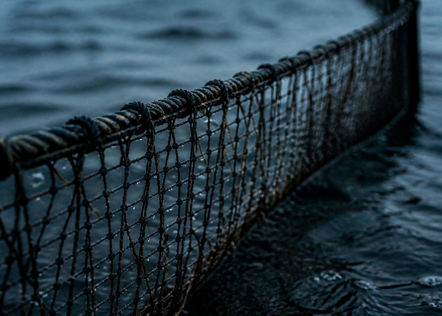 Close view of a wet sea-cage net above dark water