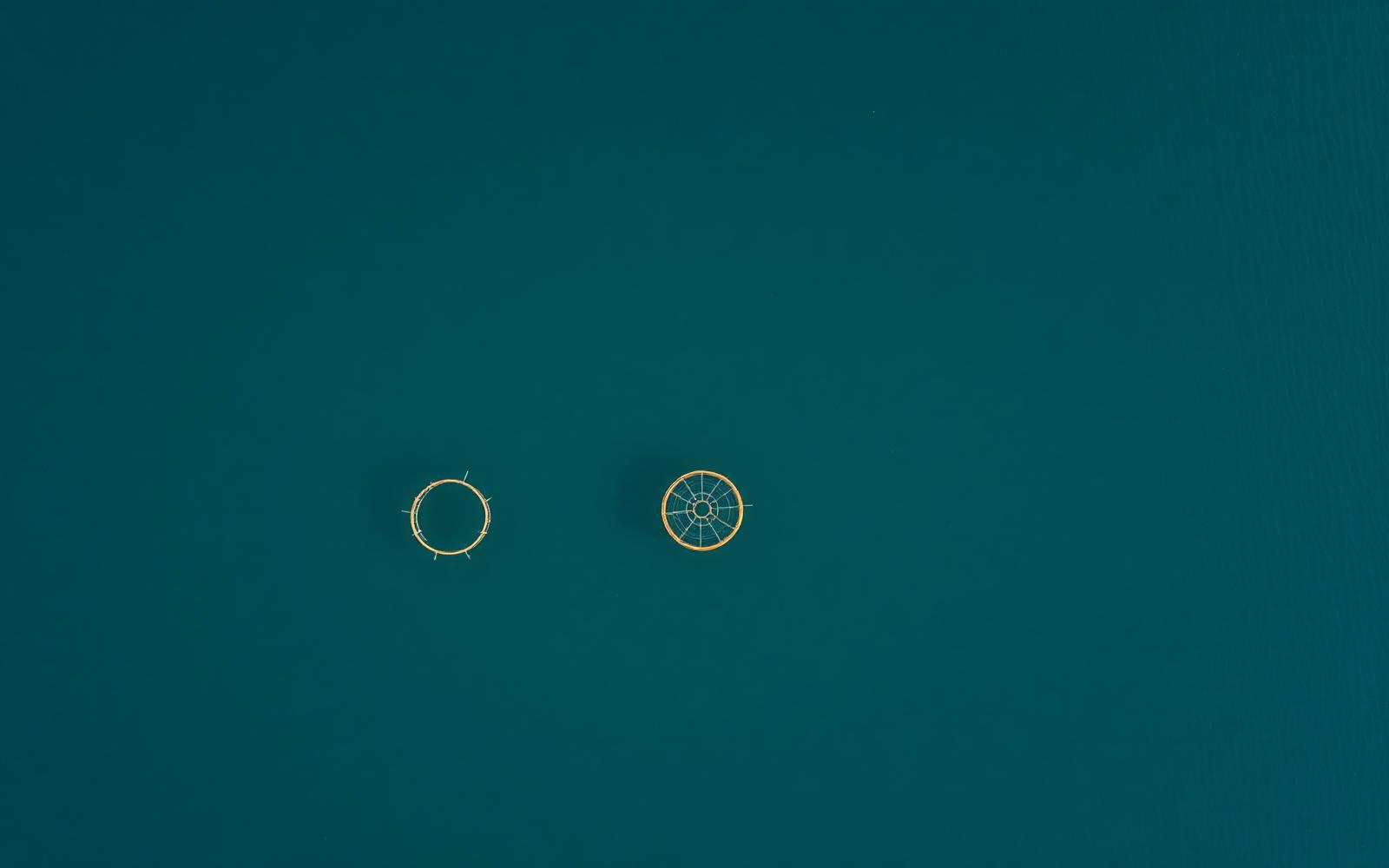 Aerial view of circular marine cages on a calm coastal sea