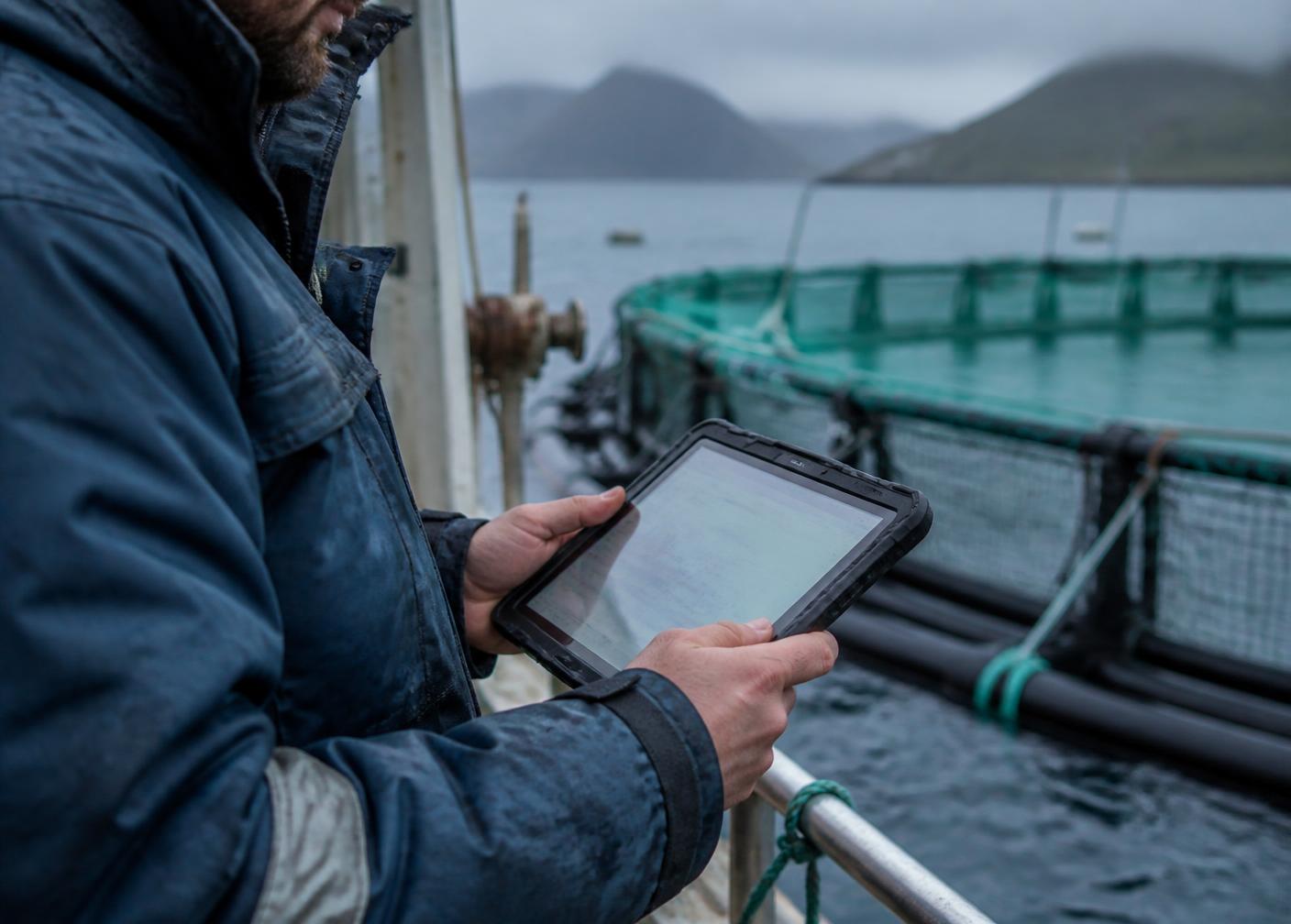 Cultivator reading cage conditions on a tablet beside the pen